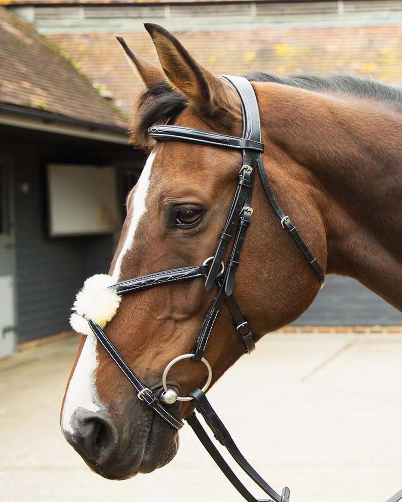 Bridles and Bridle Accessories